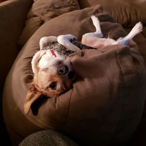 Meet your Posher, Kristina